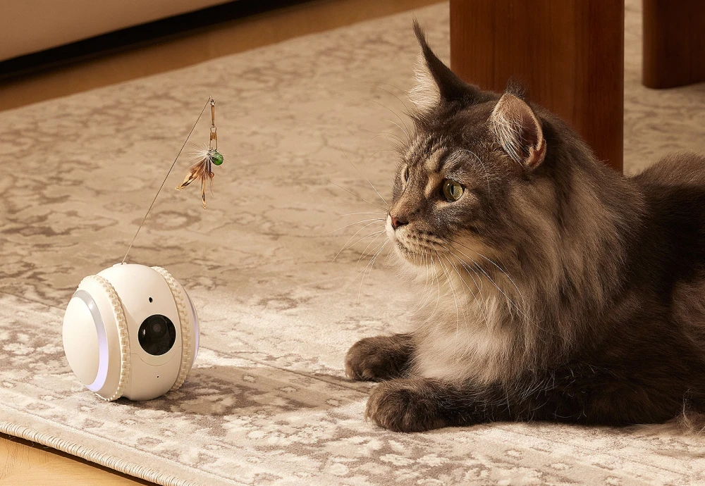 pet robot camera