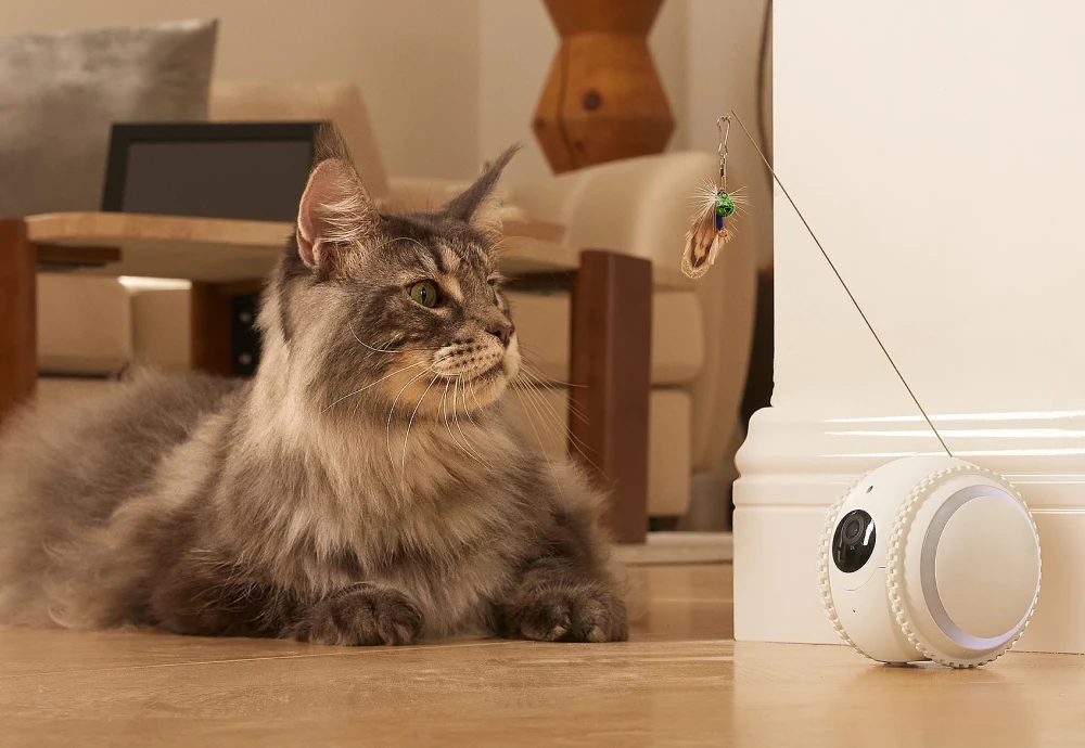 best indoor pet camera