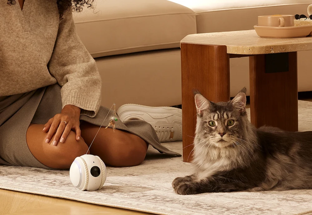 interactive pet camera for cats