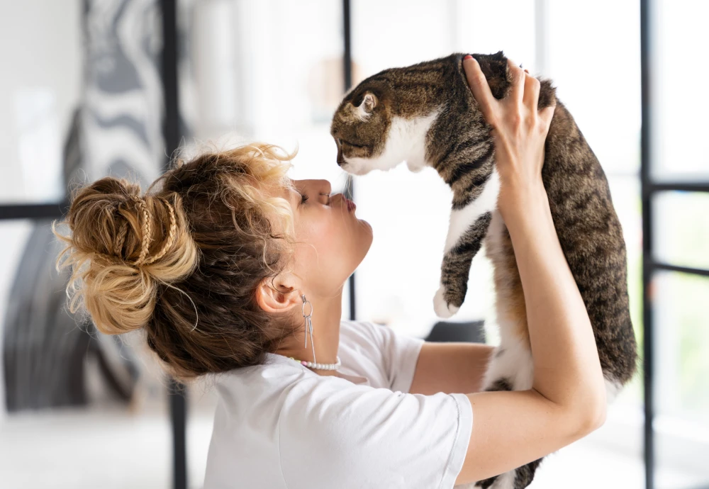 camera to keep an eye on pets